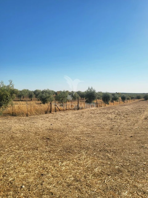 Terreno para Venda em Mourão