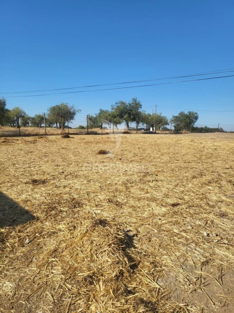 Terreno para Venda em Mourão