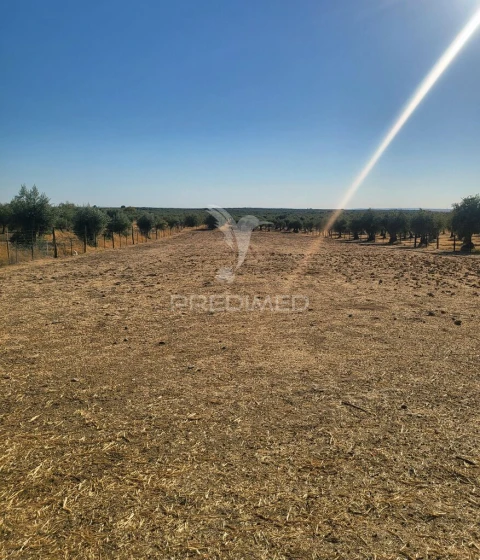 Terreno para Venda em Mourão