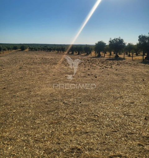 Terreno para Venda em Mourão