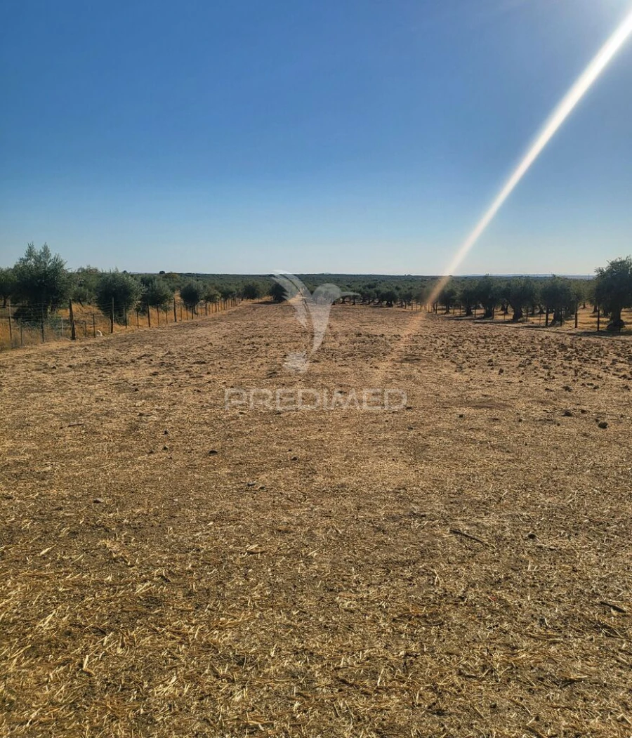 Terreno para Venda em Mourão Foto 3