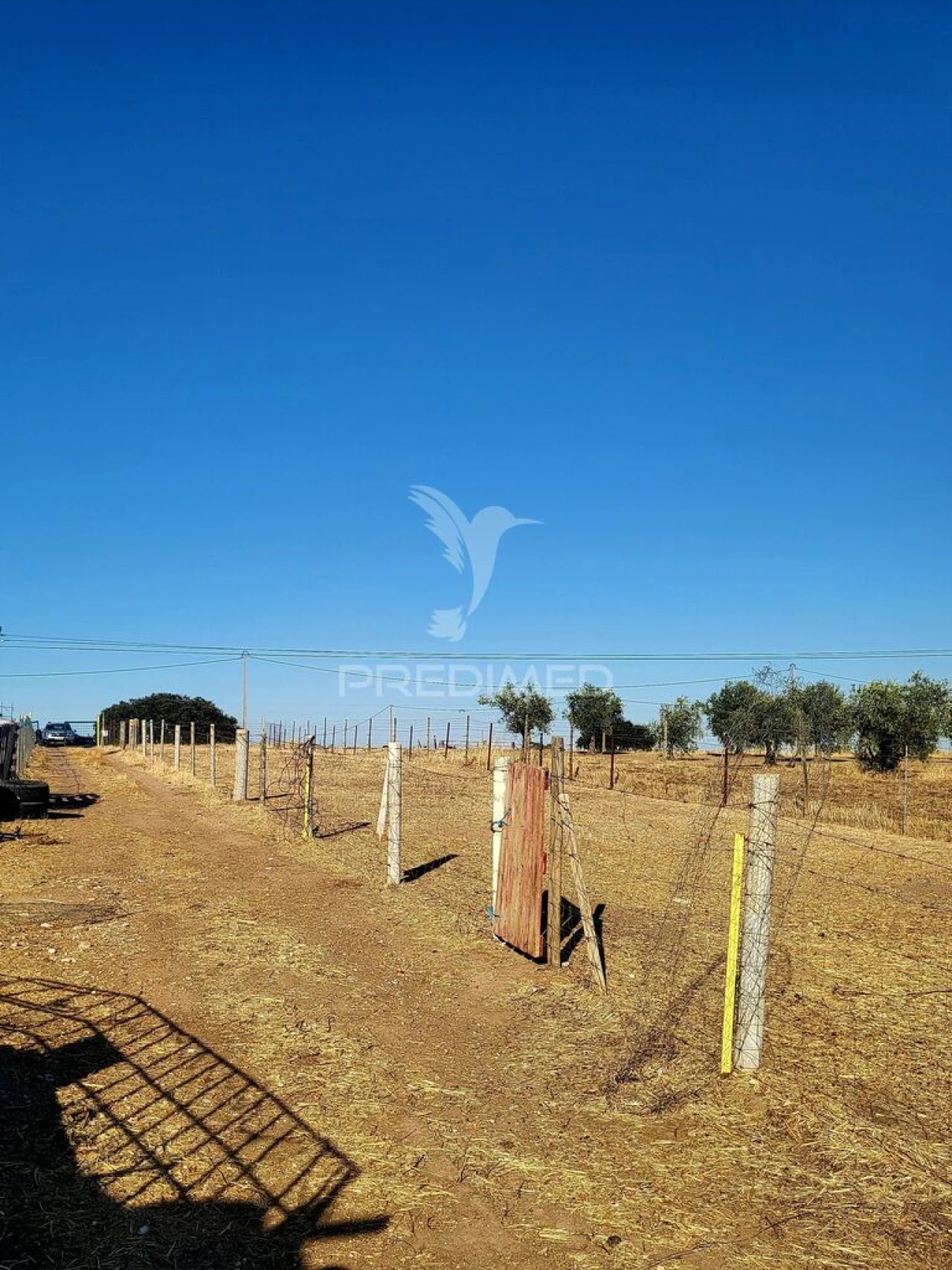 Terreno para Venda em Mourão Foto 6