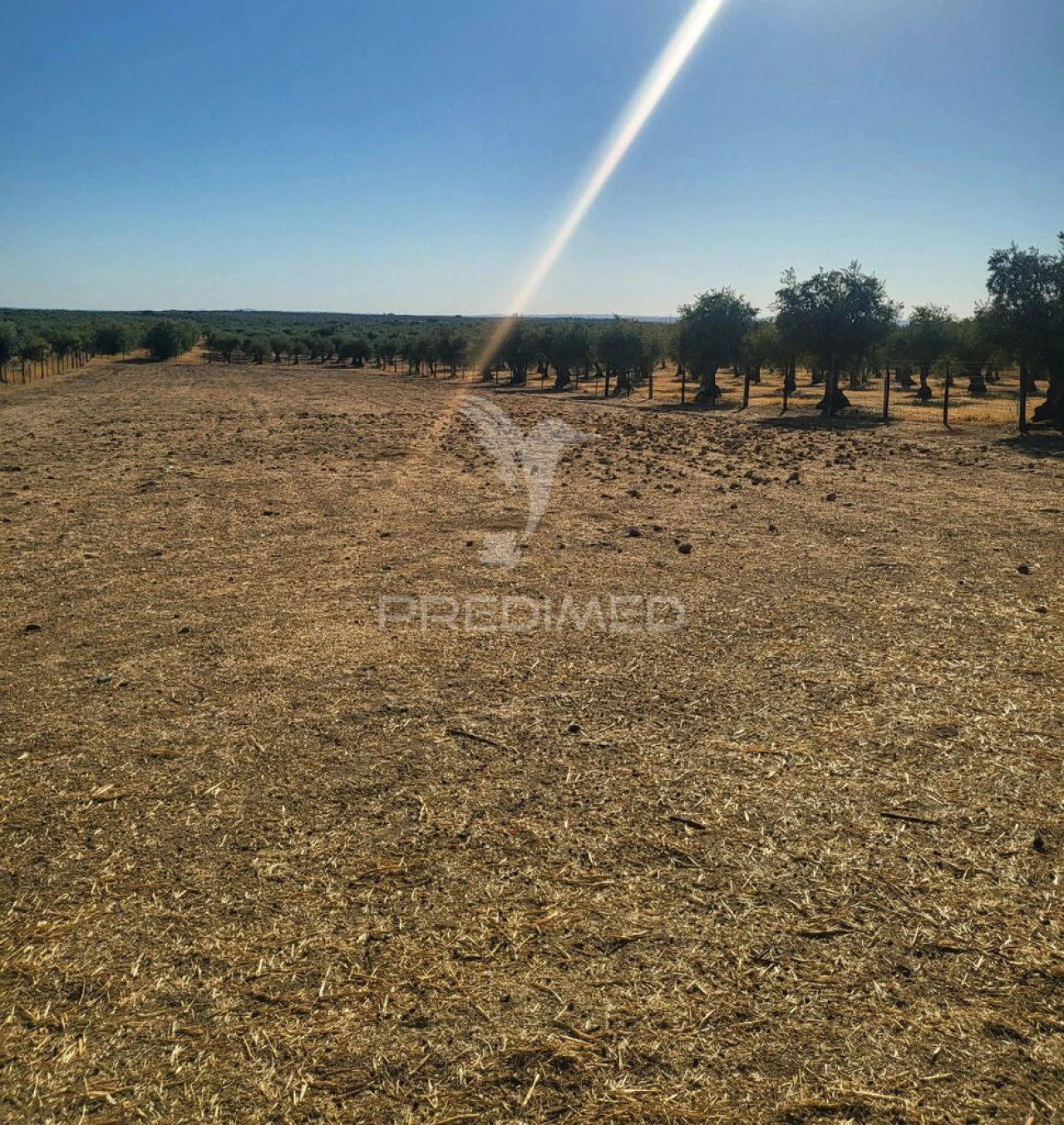 Terreno para Venda em Mourão Foto 2