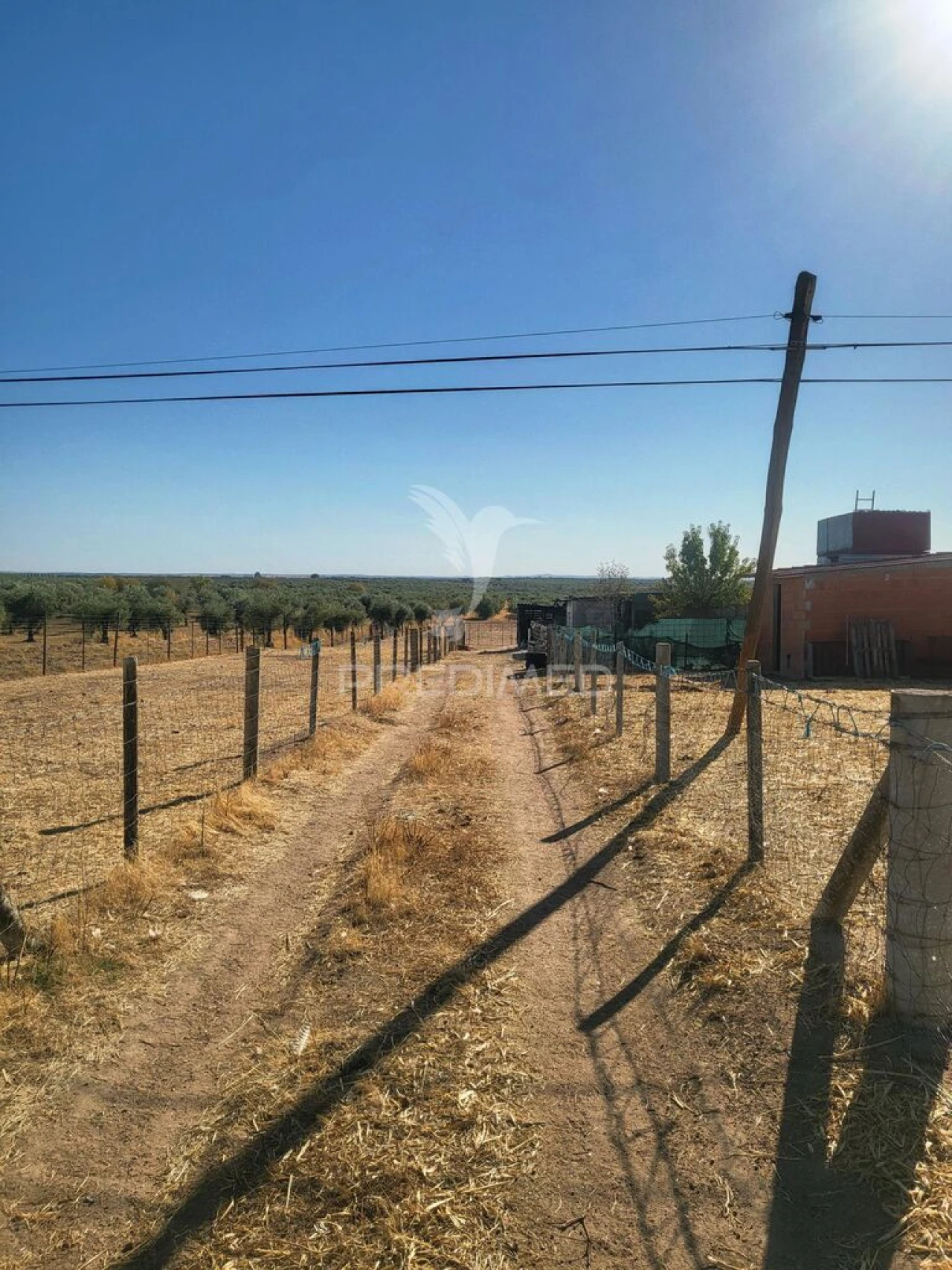 Terreno para Venda em Mourão Foto 4