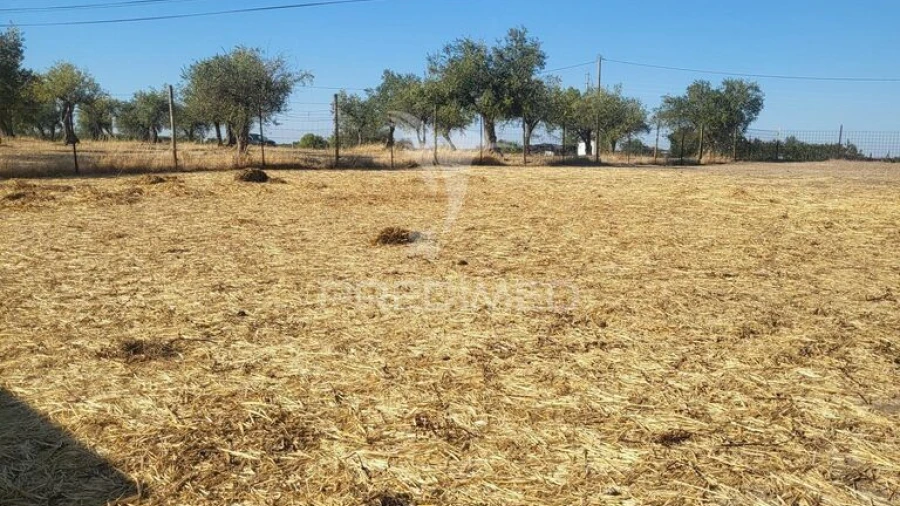 Terreno para Venda em Mourão