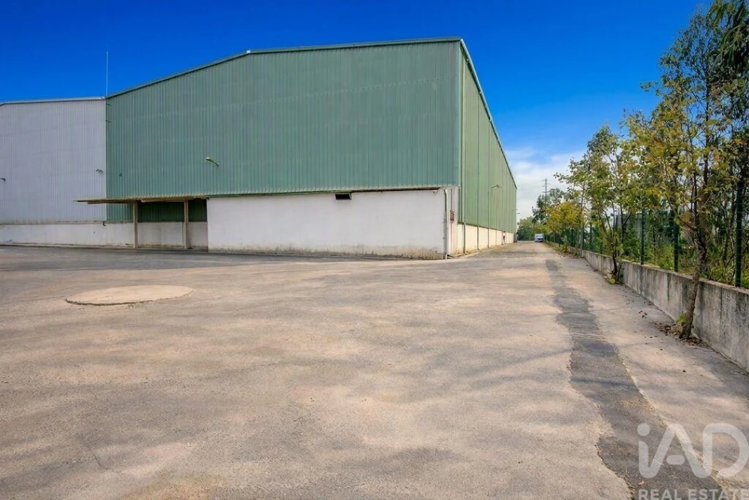 Armazém para Arrendamento em Marinha Grande Foto 24