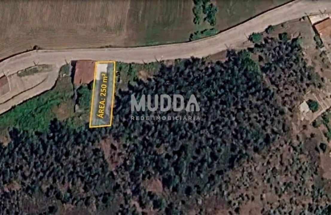 Terreno para Venda em Agrela Foto 1