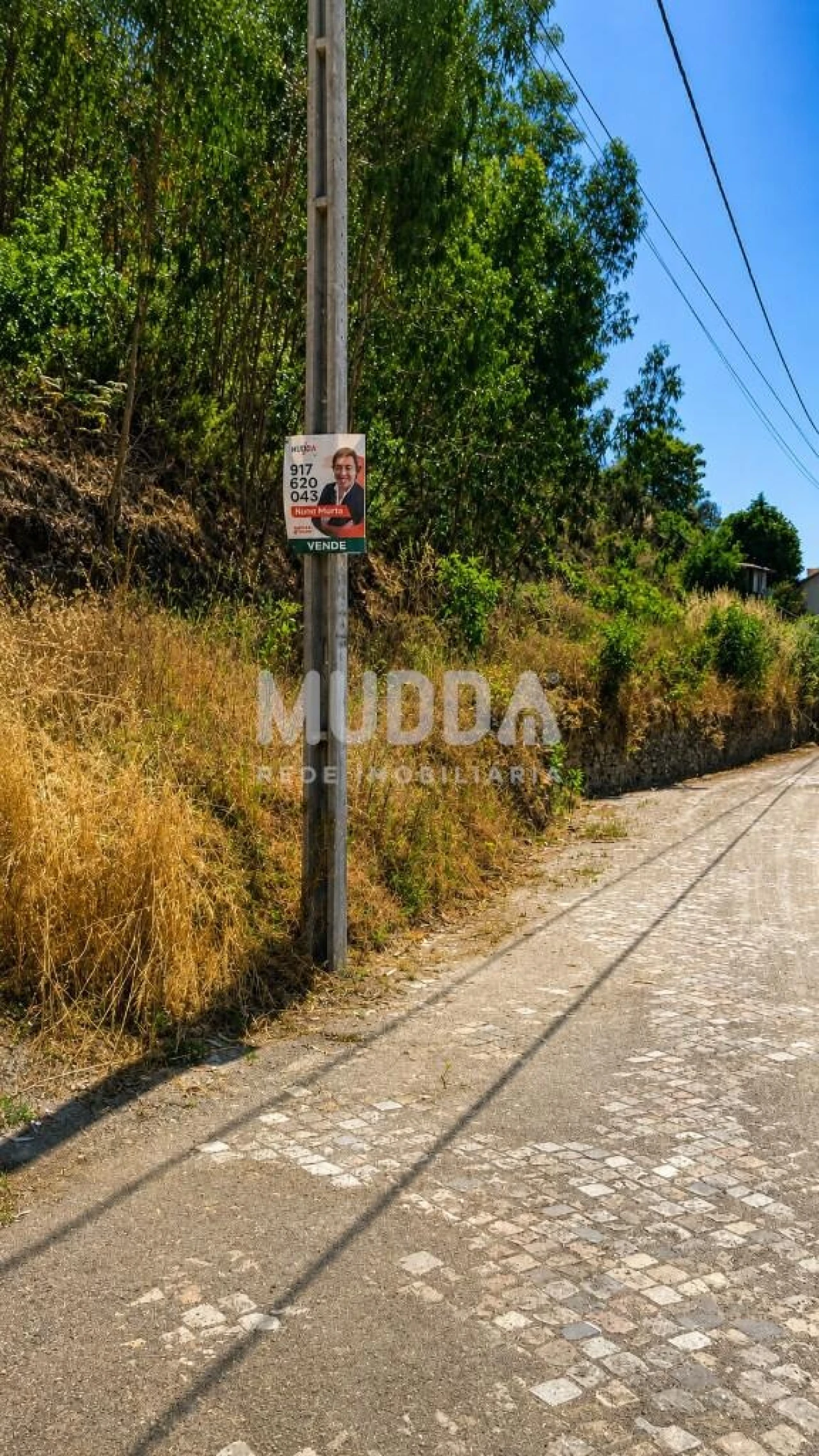 Terreno para Venda em Agrela Foto 3