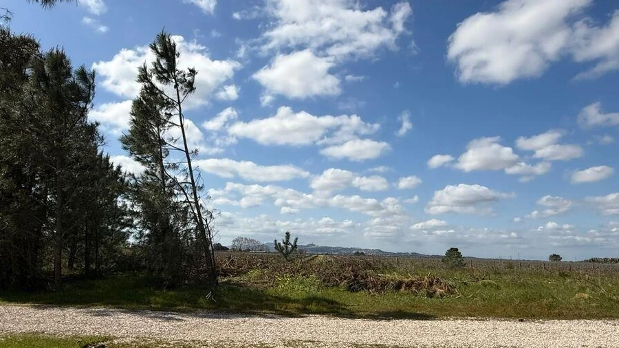 Terreno para Venda em Palmela