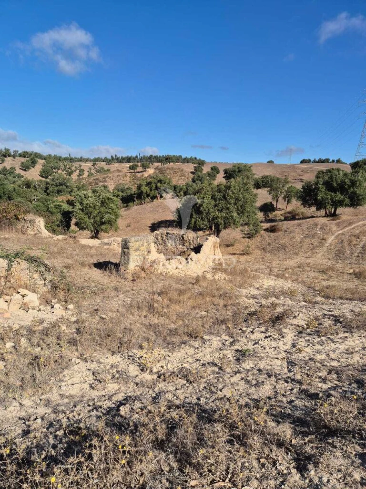 Quinta T2 para Venda em São Luis Foto 3