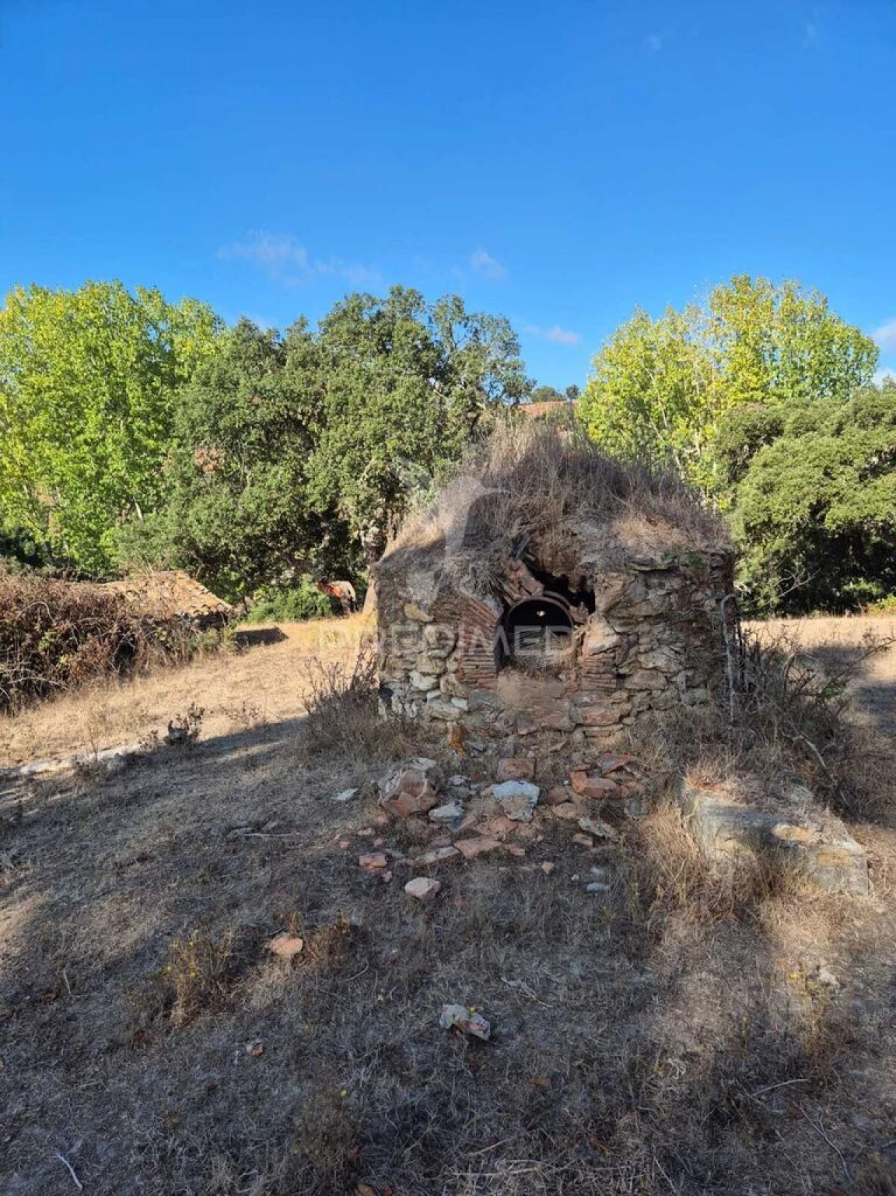 Quinta T2 para Venda em São Luis Foto 10