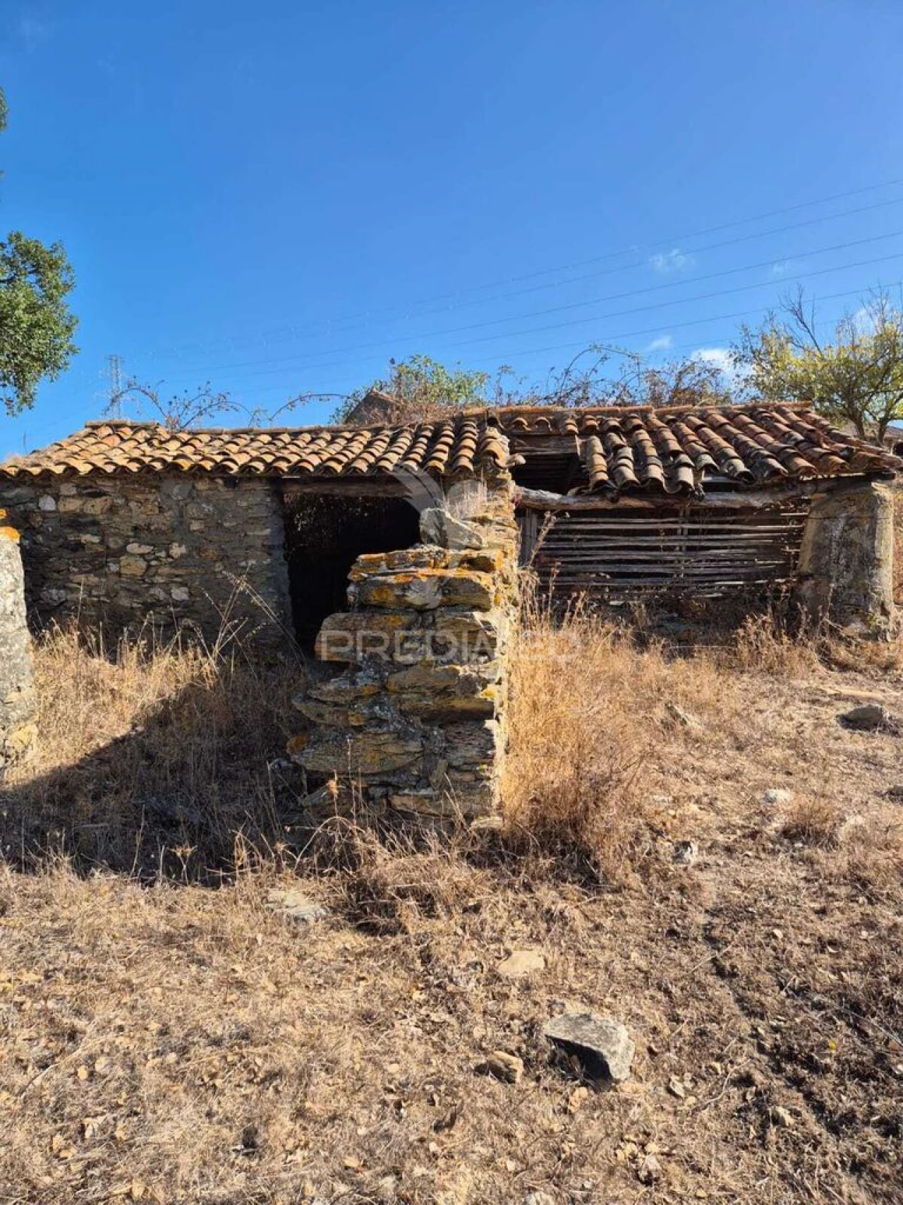 Quinta T2 para Venda em São Luis Foto 9