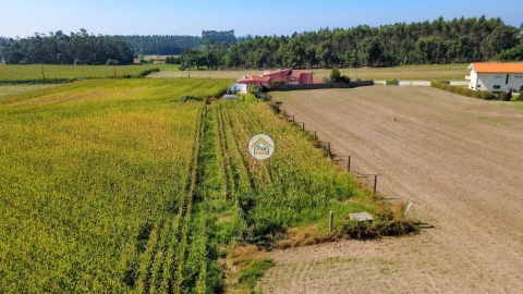 Moradia T5 para Venda em Guilhabreu