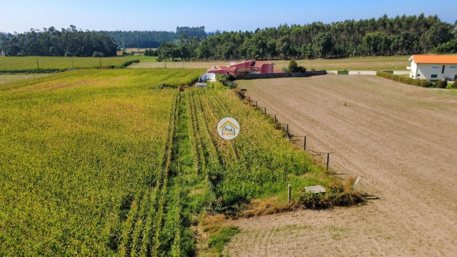 Moradia T5 para Venda em Guilhabreu Foto 45