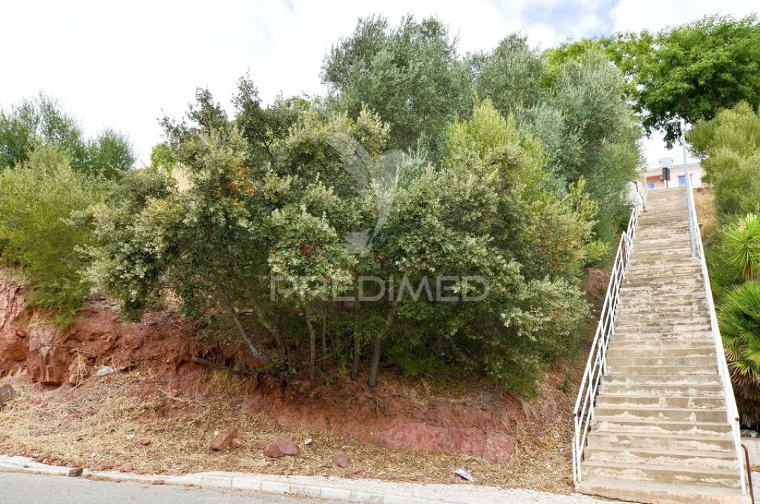 Terreno para Venda em São Bartolomeu de Messines Foto 4
