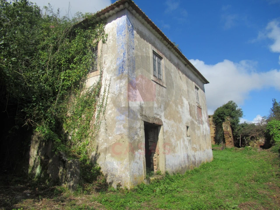 Quinta T1 para Venda em Nossa Senhora do Pópulo, Coto e São Gregório Foto 4