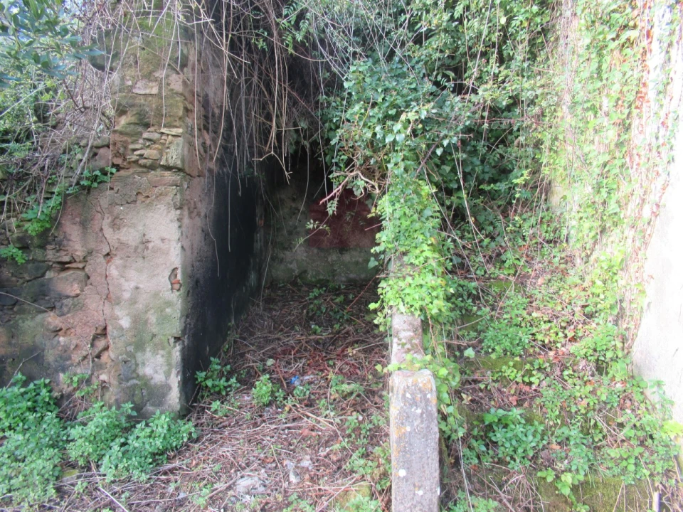 Quinta T1 para Venda em Nossa Senhora do Pópulo, Coto e São Gregório Foto 14