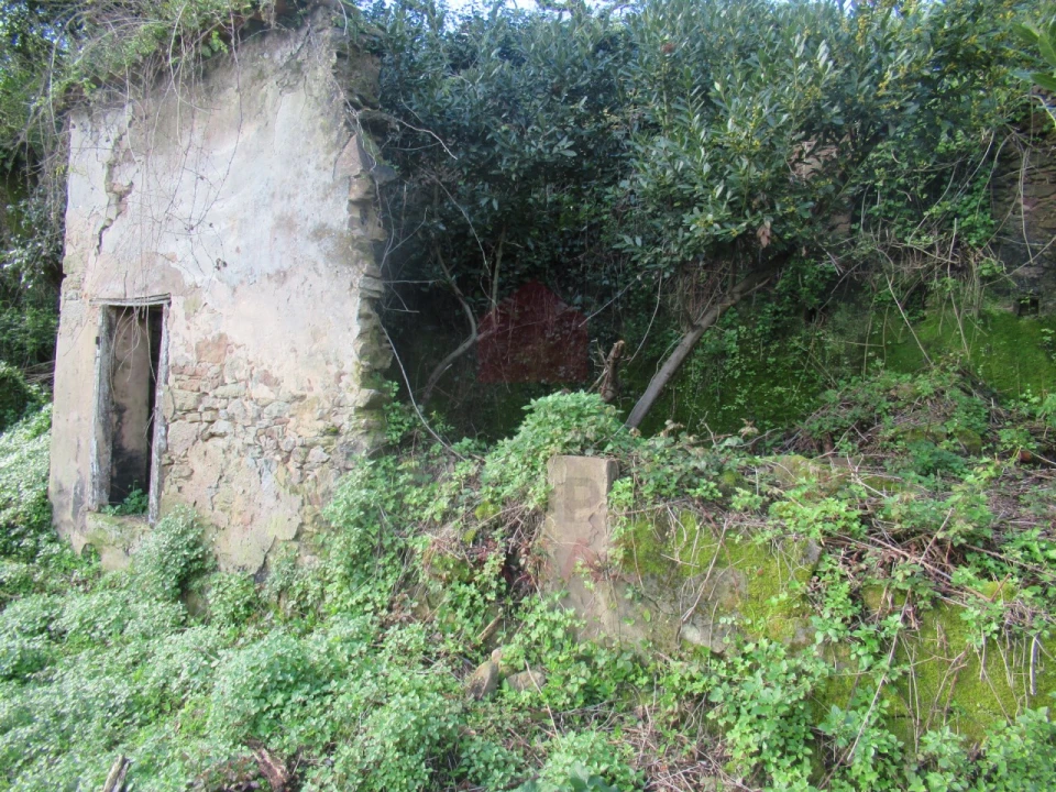Quinta T1 para Venda em Nossa Senhora do Pópulo, Coto e São Gregório Foto 16