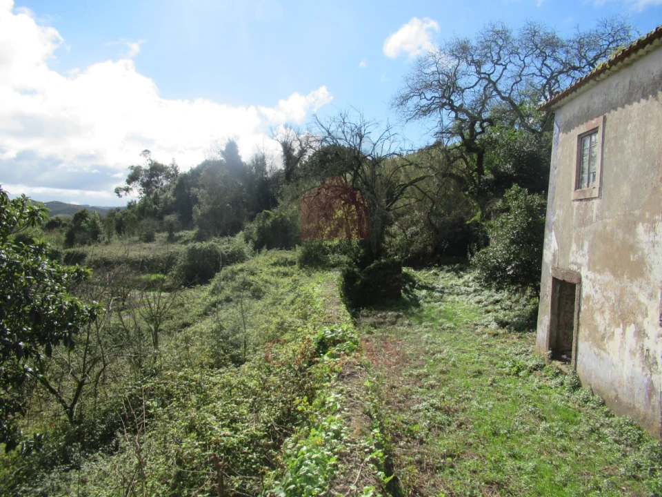 Quinta T1 para Venda em Nossa Senhora do Pópulo, Coto e São Gregório Foto 25