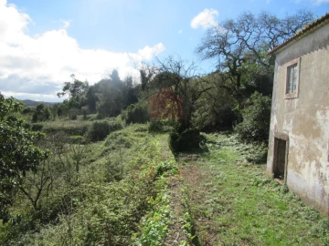 Quinta T1 para Venda em Nossa Senhora do Pópulo, Coto e São Gregório