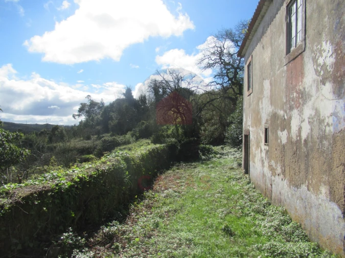 Quinta T1 para Venda em Nossa Senhora do Pópulo, Coto e São Gregório Foto 5
