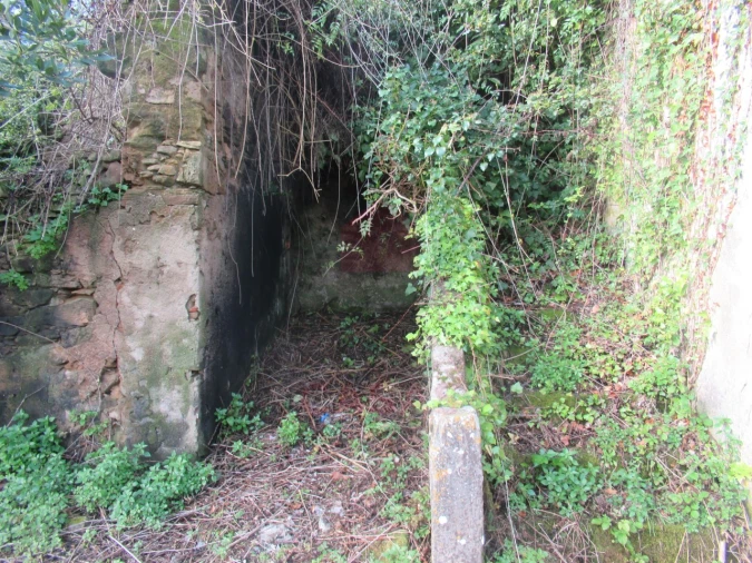 Quinta T1 para Venda em Nossa Senhora do Pópulo, Coto e São Gregório Foto 14