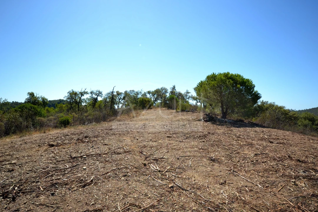 Terreno para Venda em Salir Foto 5