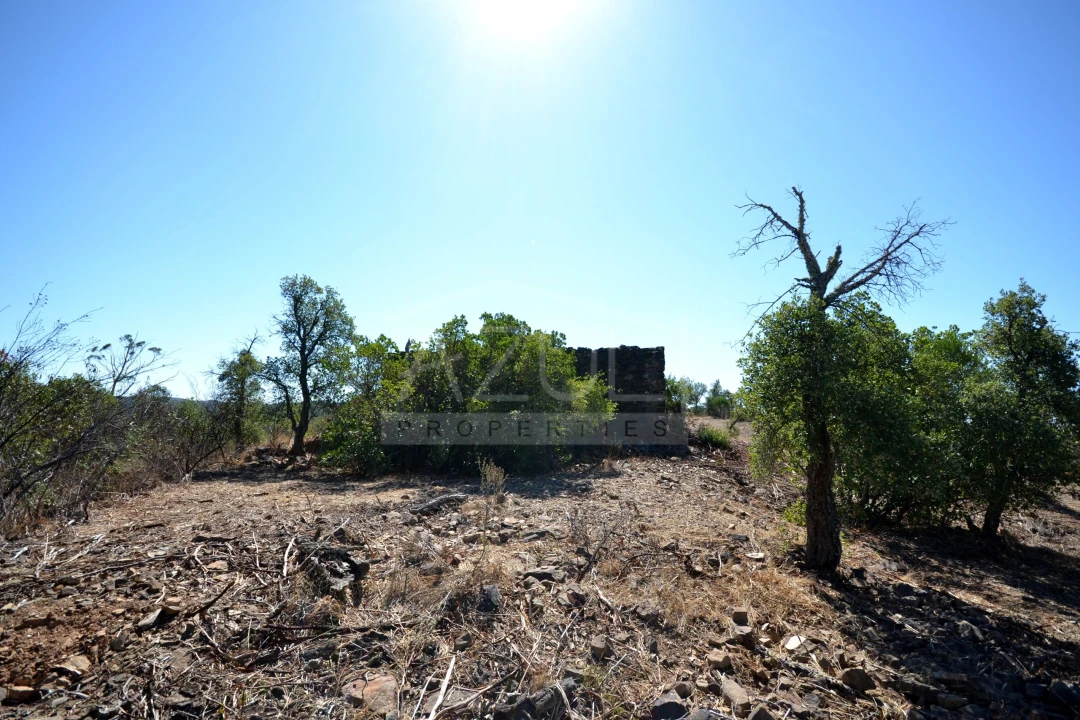Terreno para Venda em Salir Foto 15