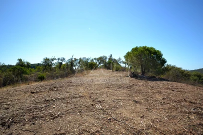 Terreno para Venda em Salir