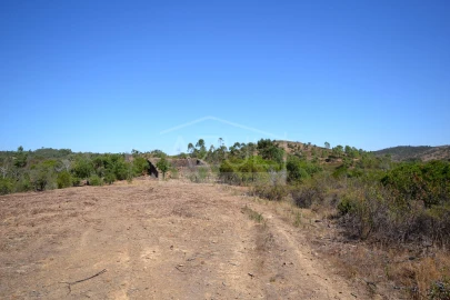 Terreno para Venda em Salir