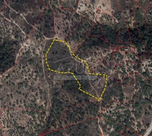 Terreno para Venda em Salir