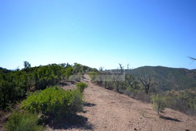 Terreno para Venda em Salir