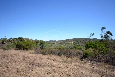 Terreno para Venda em Salir