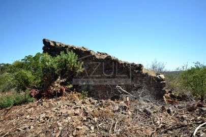 Terreno para Venda em Salir