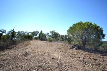 Terreno para Venda em Salir