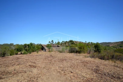 Terreno para Venda em Salir