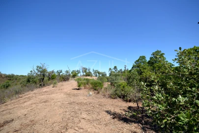 Terreno para Venda em Salir