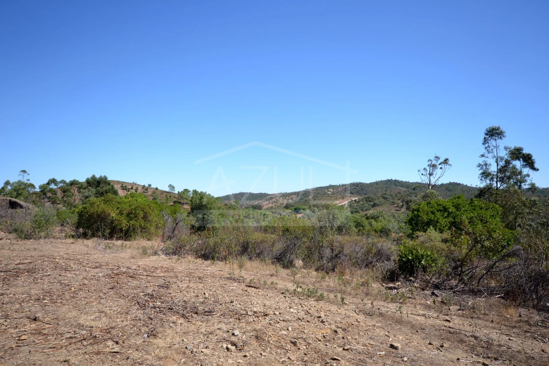 Terreno para Venda em Salir Foto 13