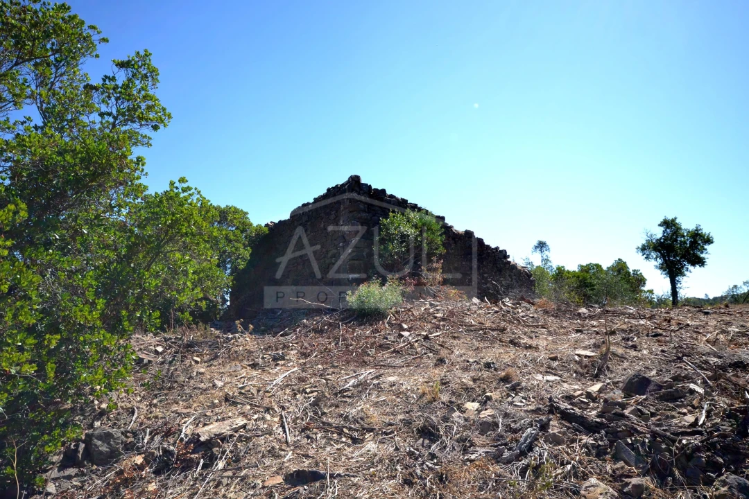 Terreno para Venda em Salir Foto 4