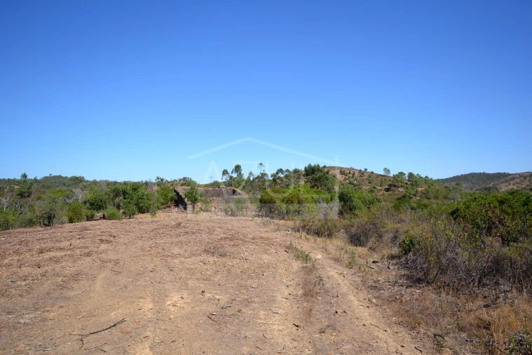 Terreno para Venda em Salir Foto 12