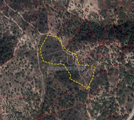 Terreno para Venda em Salir Foto 22