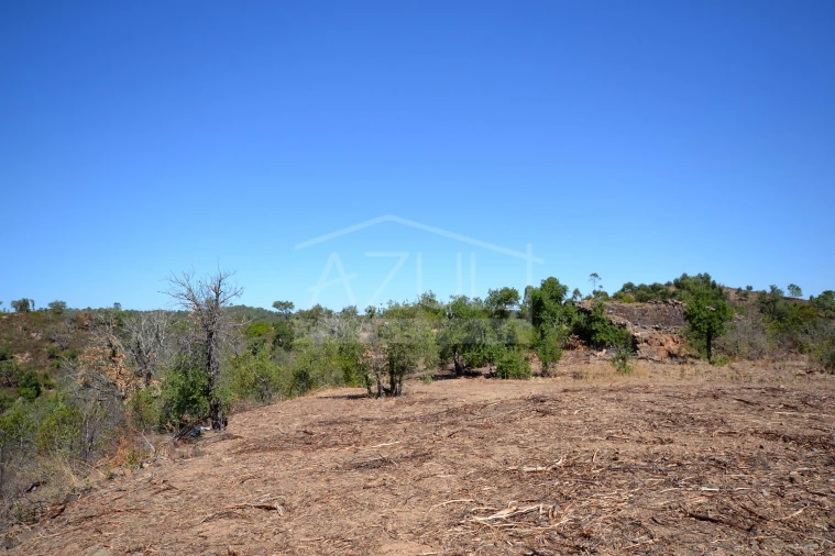 Terreno para Venda em Salir Foto 10