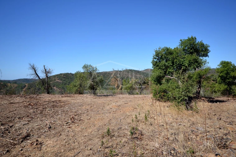 Terreno para Venda em Salir Foto 6