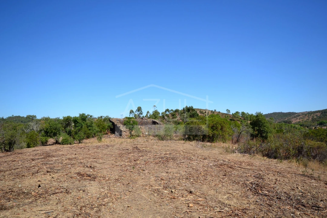 Terreno para Venda em Salir Foto 11