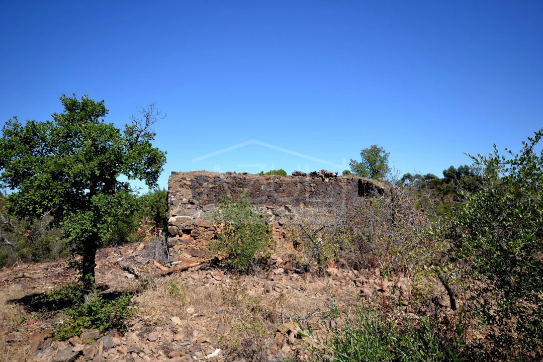 Terreno para Venda em Salir Foto 1