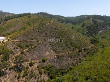Terreno Agricola ou Rústico para Venda em Aljezur