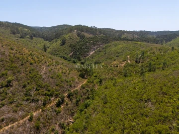 Terreno Agricola ou Rústico para Venda em Aljezur