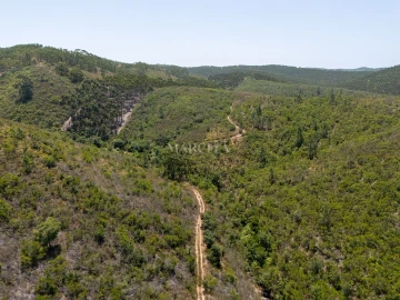 Terreno Agricola ou Rústico para Venda em Aljezur