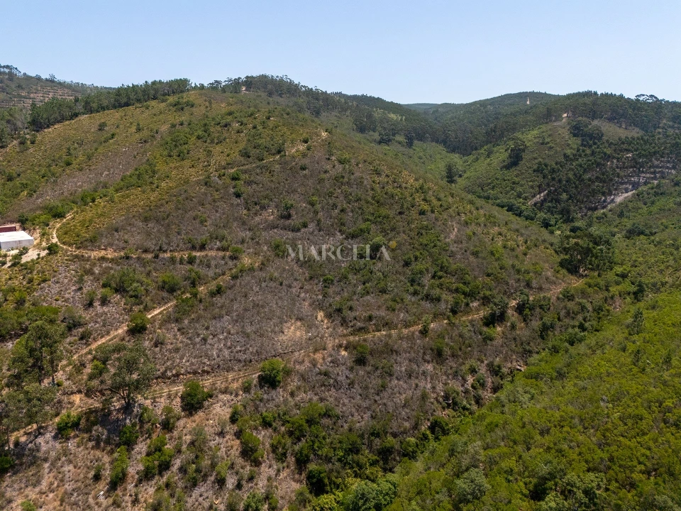 Terreno Agricola ou Rústico para Venda em Aljezur Foto 5