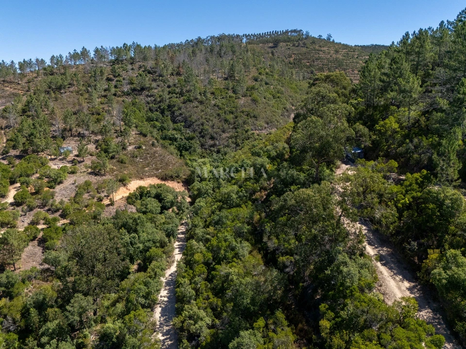 Terreno Agricola ou Rústico para Venda em Aljezur Foto 3